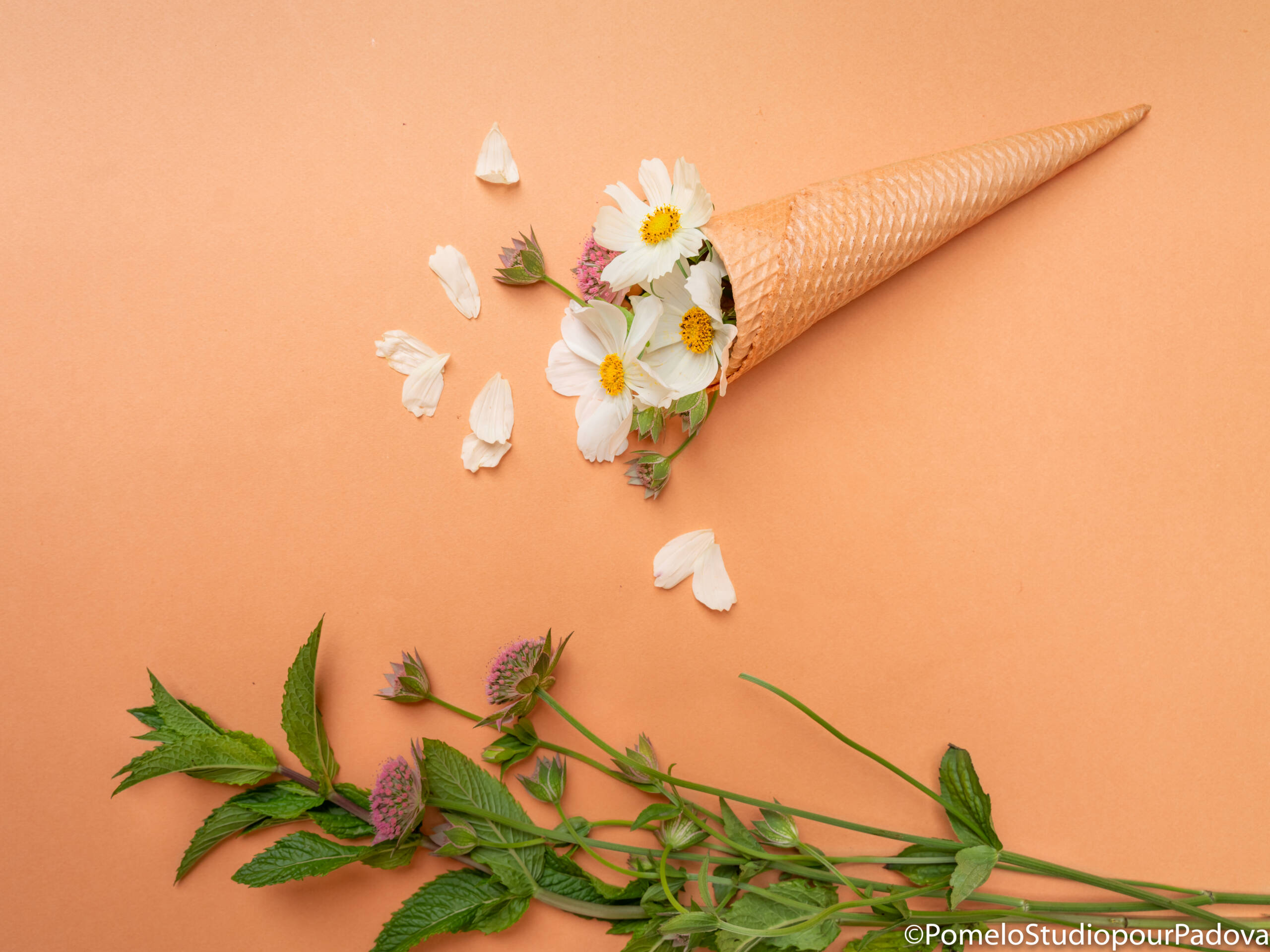 Glaces & Sorbets – Image 6