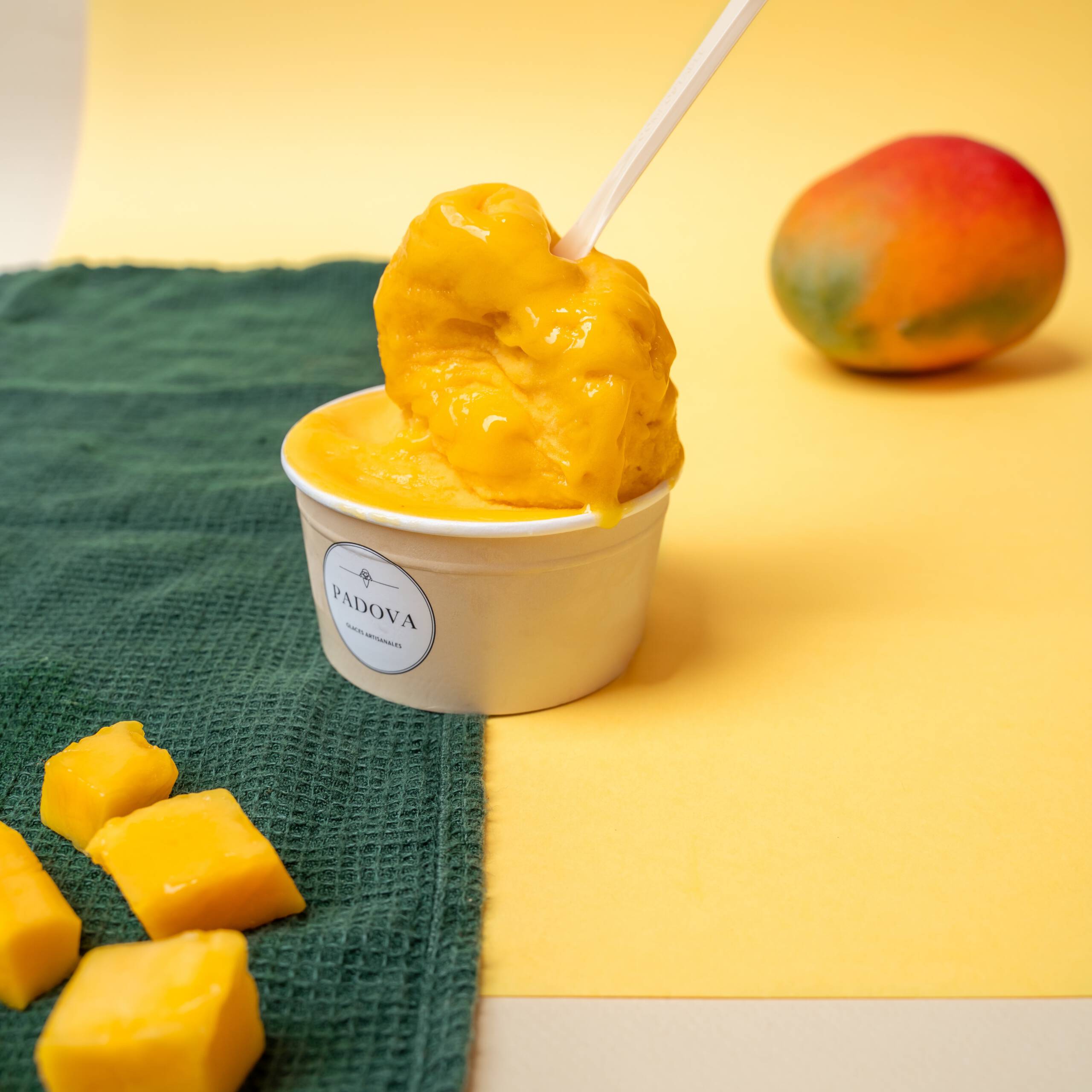 Glaces & Sorbets – Image 5